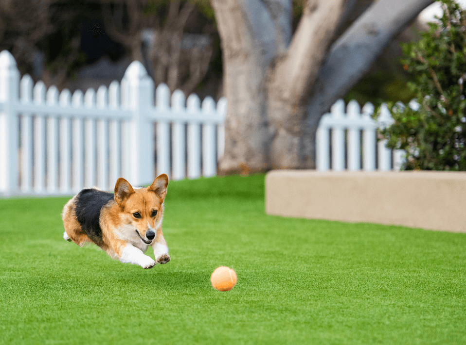 Our turf is non-toxic, meaning you’ll have peace of mind when your pets are playing