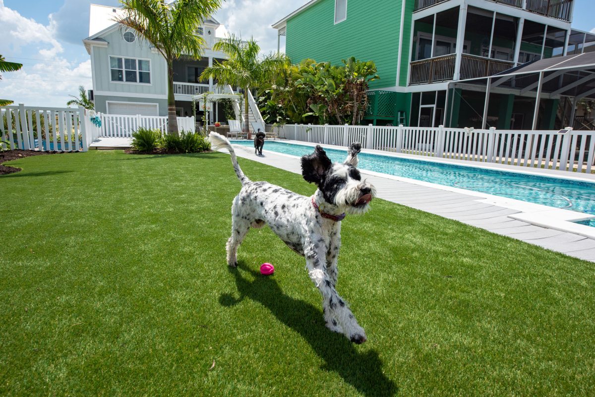 Artificial turf for pets