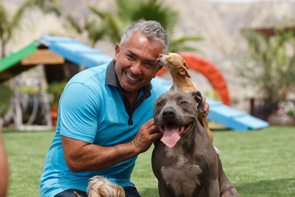 Cesar Millan Introduces FieldTurf for Pet Owners