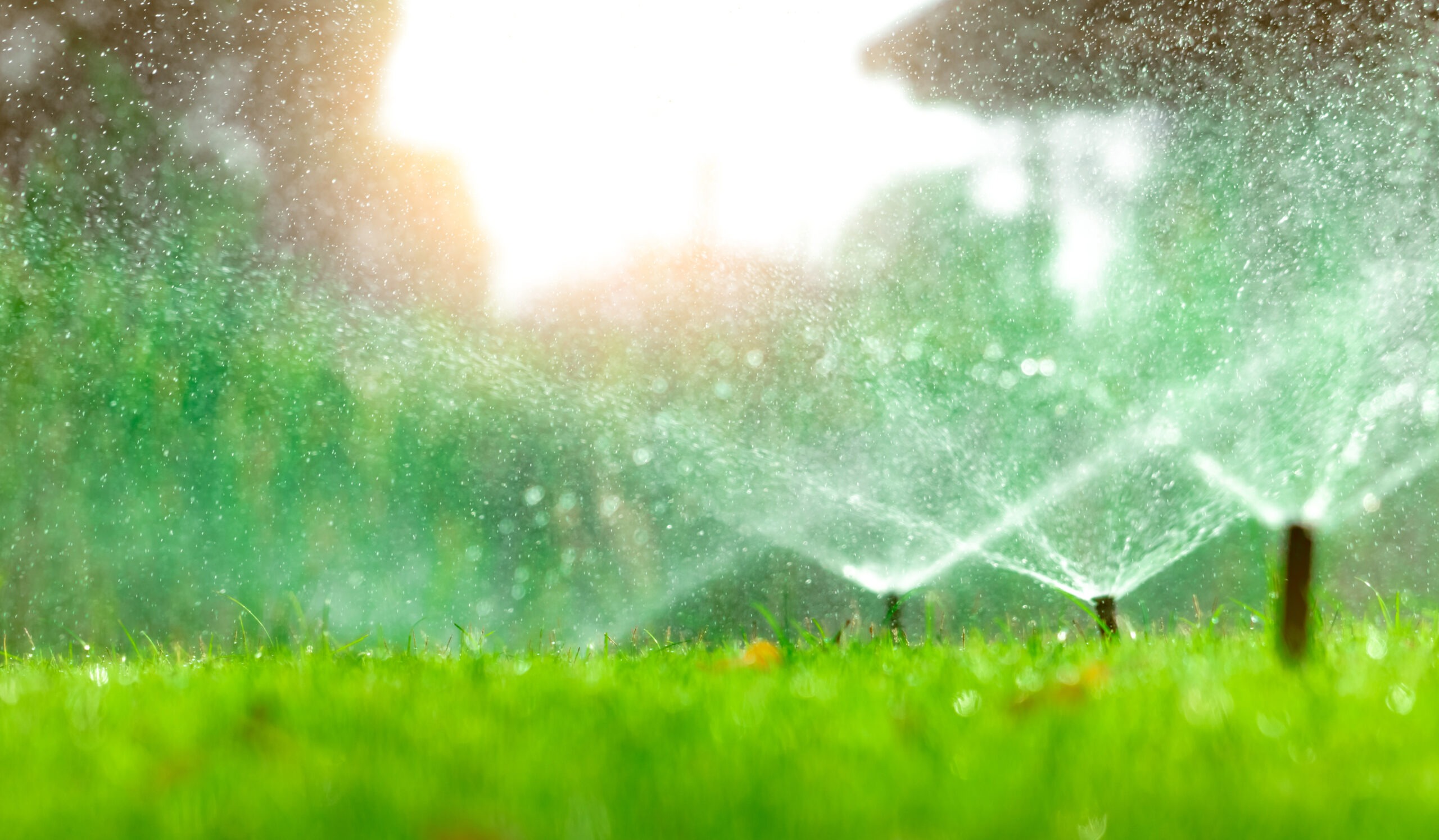Artificial Turf: A Water-Saving Solution for Homeowners