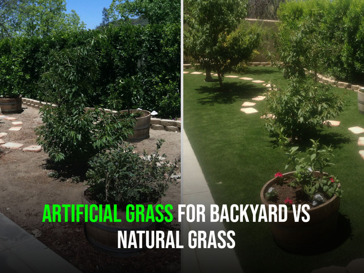 Artificial Grass for Backyard vs Natural Grass-ftl5
