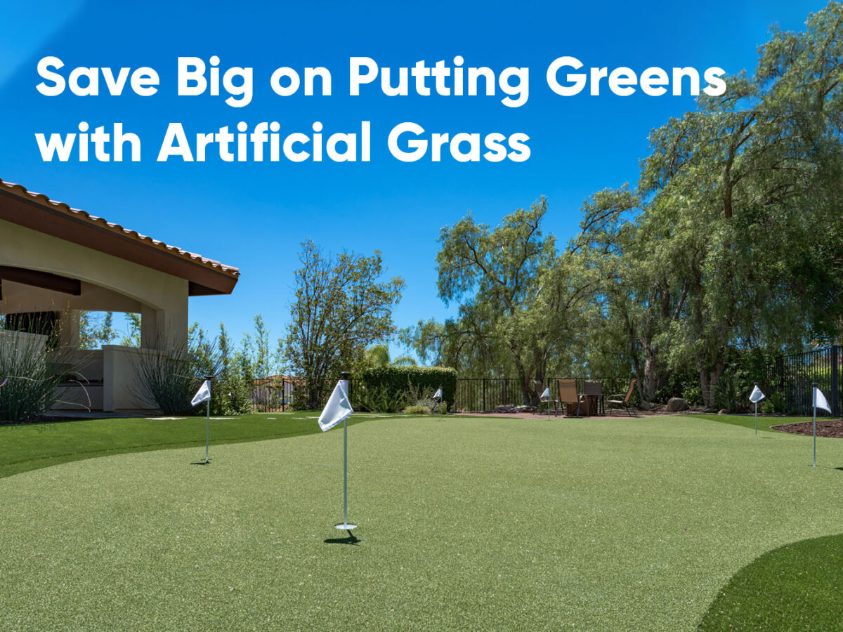 Artificial Putting Greens Designs for Your Front Yard - FT 1