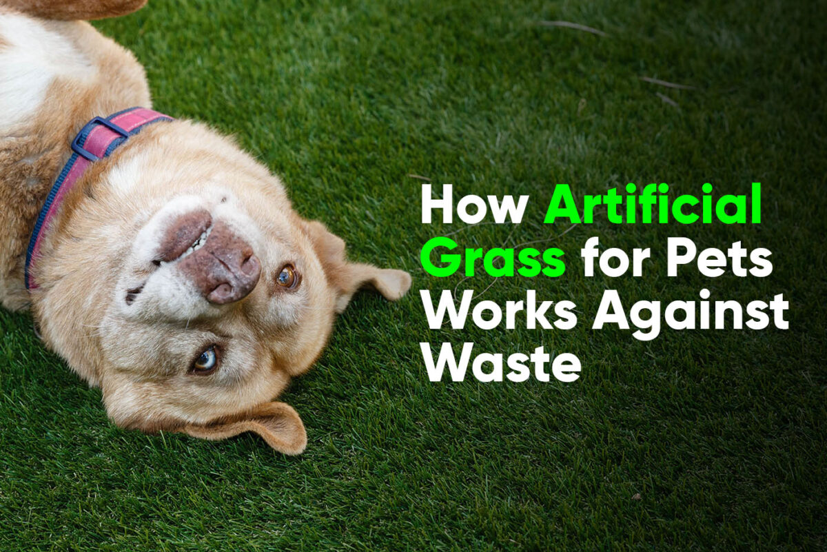 How Artificial Grass for Pets Works Against Waste - ftl 4