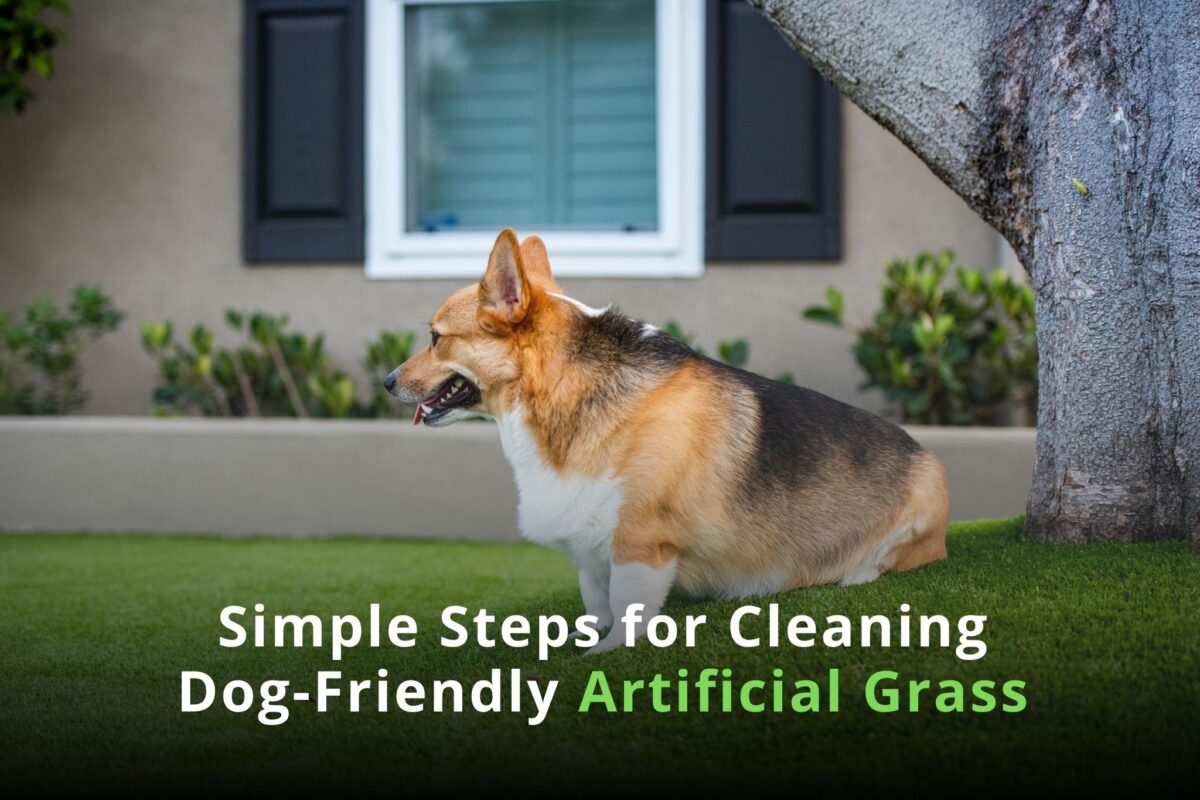 A Quick Guide to Borders for Artificial Grass - Simple Steps for