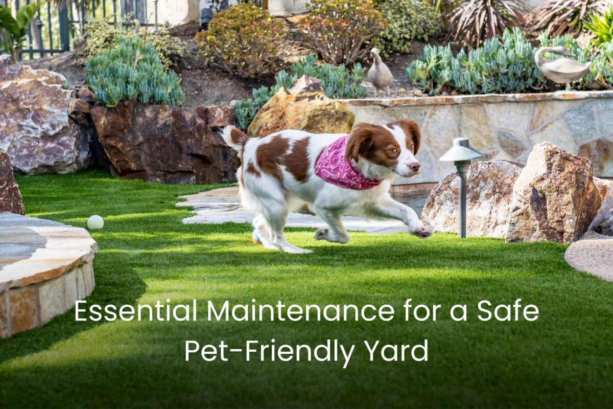 Essential Maintenance for a Safe Pet-Friendly synthetic Yard