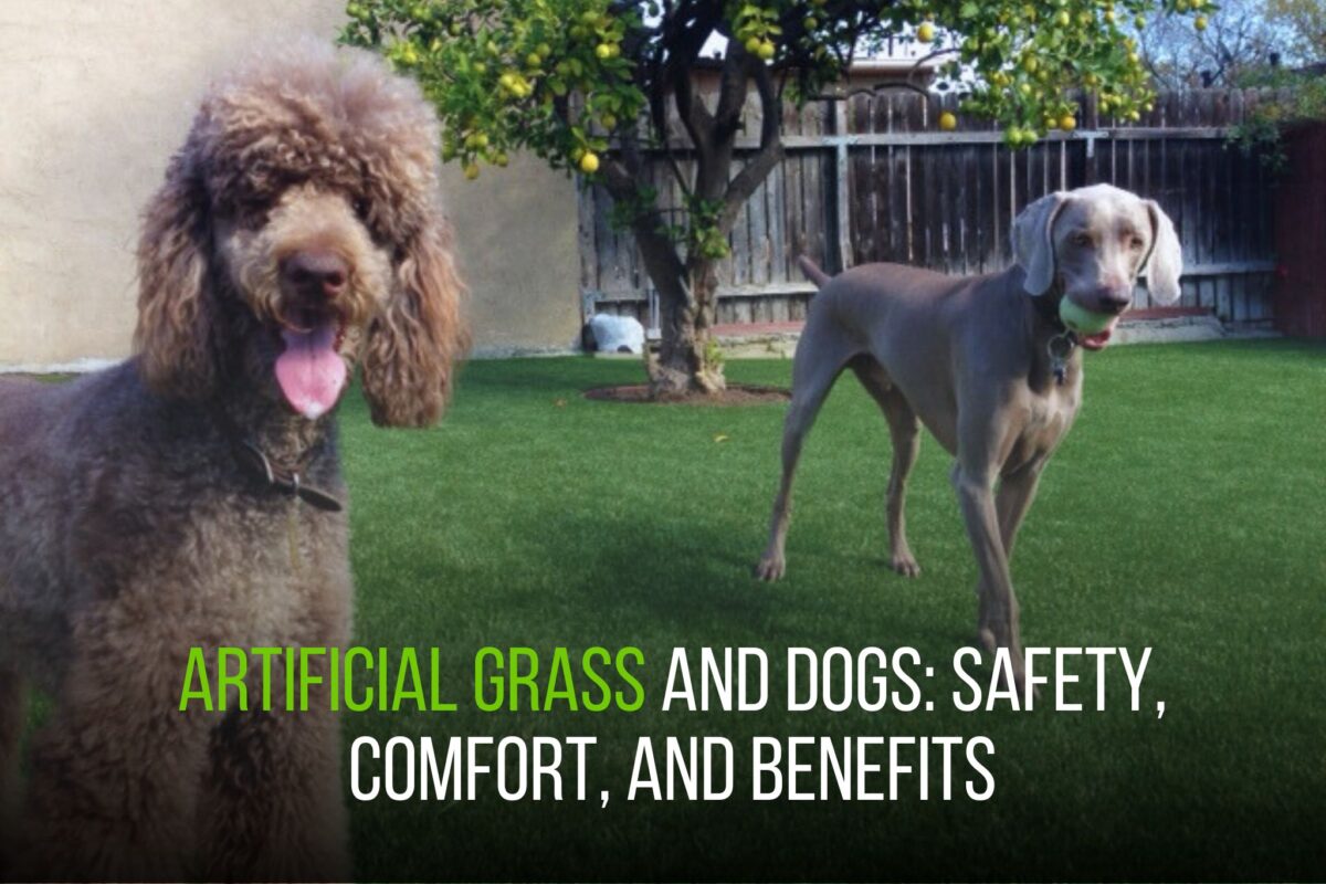 Artificial Grass and Dogs_ Safety, Comfort, and Benefits - fieldturf landscape 2