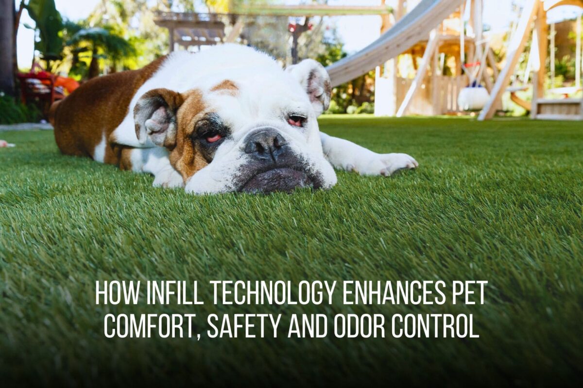 How Infill Technology Enhances Pet Comfort, Safety and Odor Control - Fieldturf 2