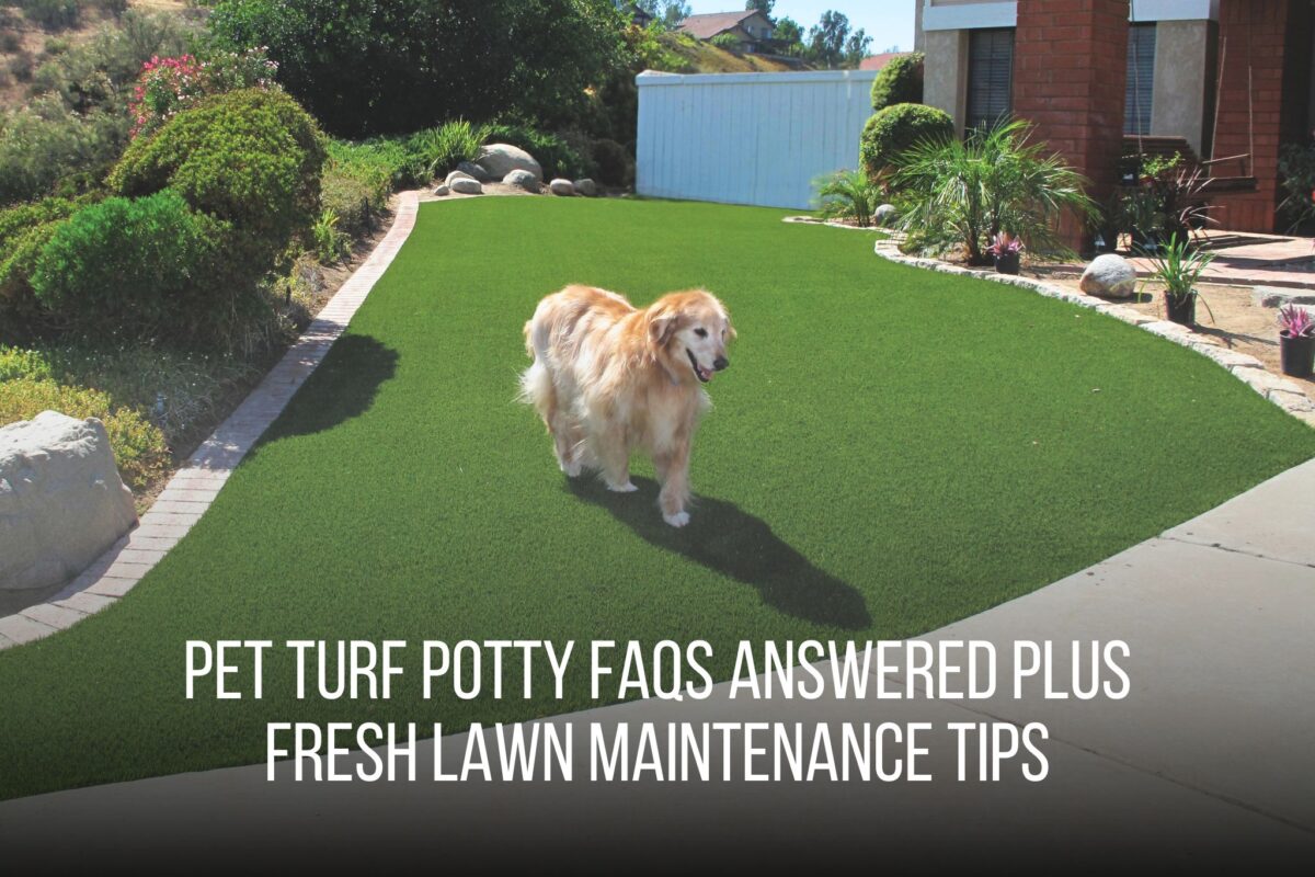 Pet Turf Potty FAQs Answered Plus Fresh Lawn Maintenance Tips - FieldTurfLandScape 2